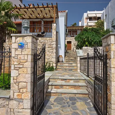 Petrino * 帕蒂迪里奥