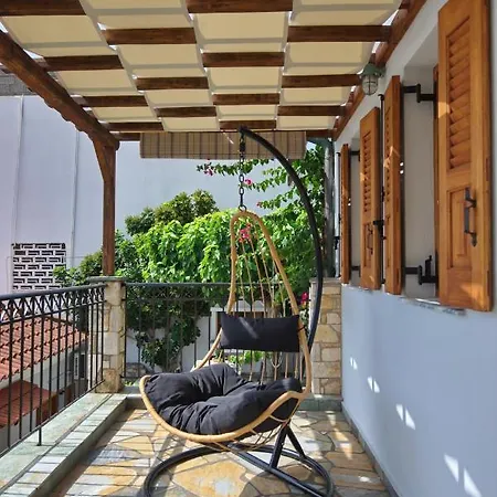 Petrino 帕蒂迪里奥